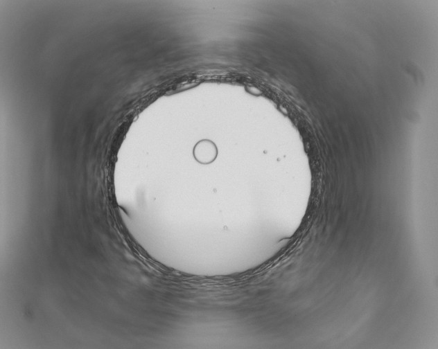 X0000110691445200907241054