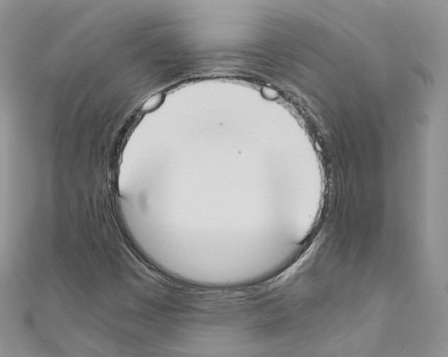 X0000110691449200907241054