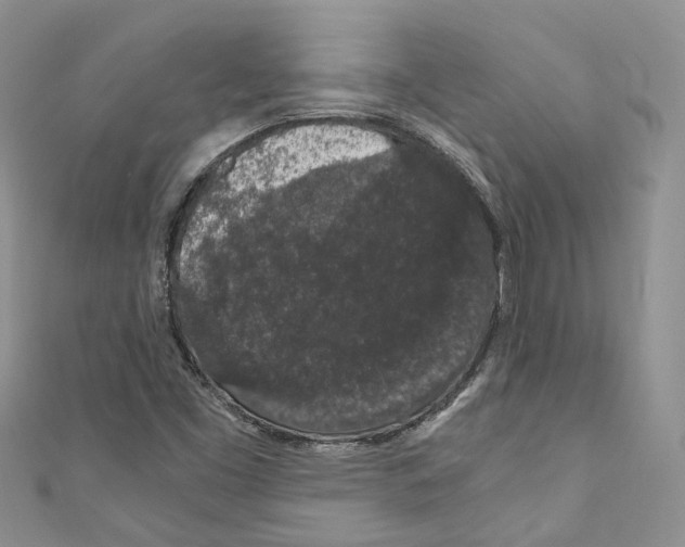 X0000110691453200907241054