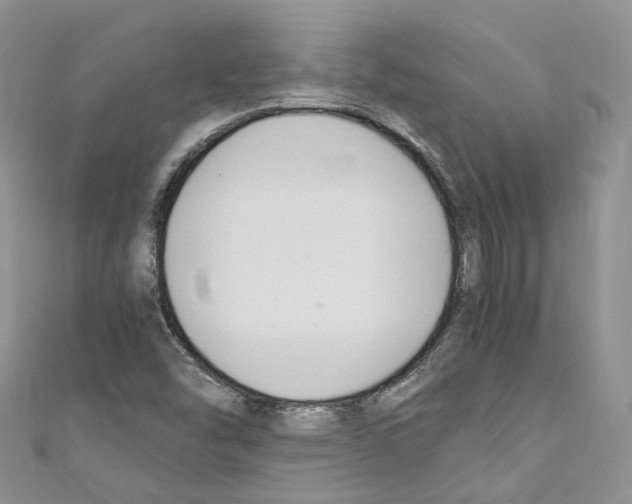 X0000110691454200907241054