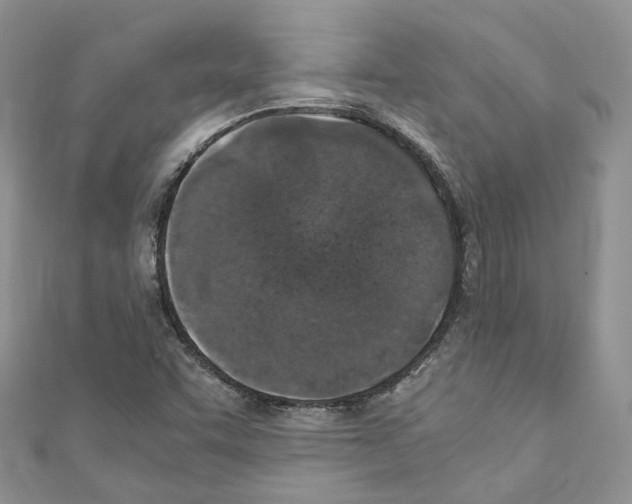 X0000110691455200907241054