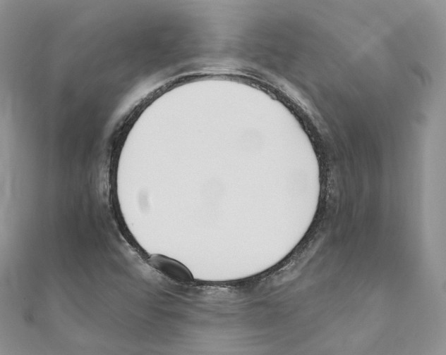 X0000110691456200907241054