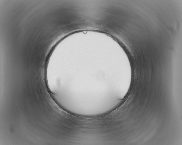 X0000110691460200907241054