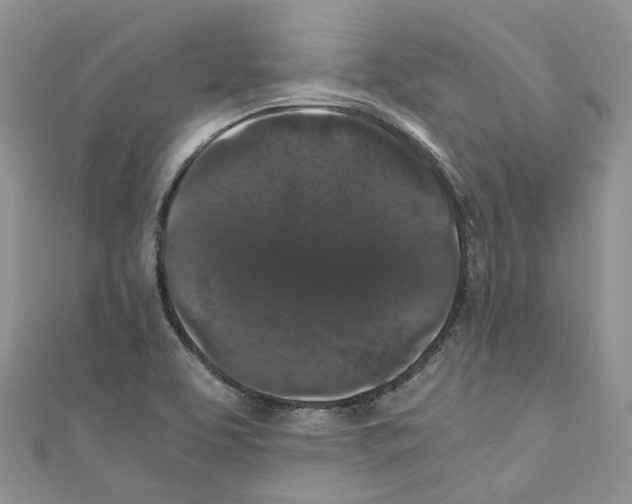 X0000110691463200907241054