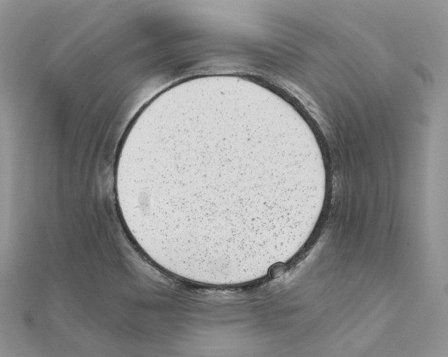 X0000110691465200907241054