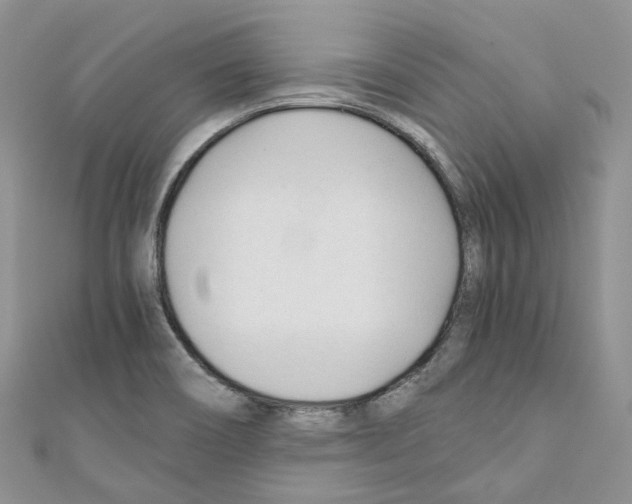 X0000110691466200907241054