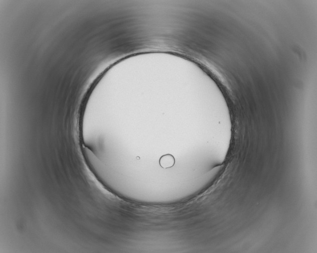 X0000110691468200907241053