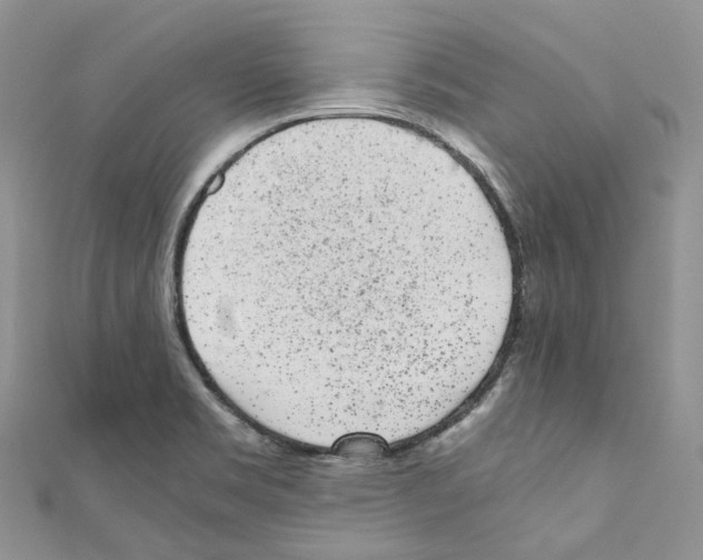 X0000110691469200907241053