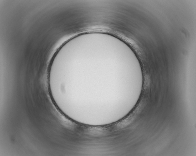 X0000110691470200907241053