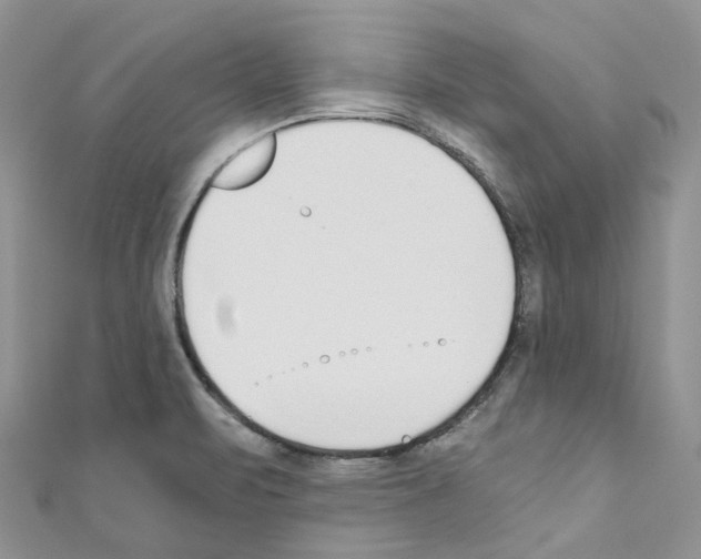 X0000110691471200907241053