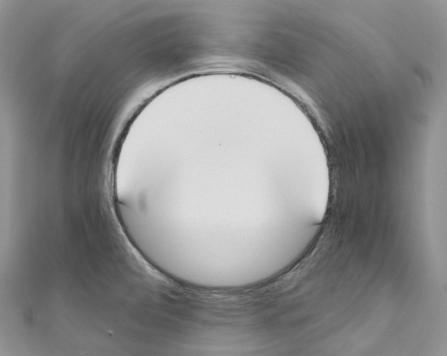 X0000110691472200907241053