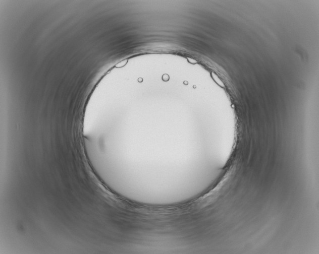 X0000110691473200907241053