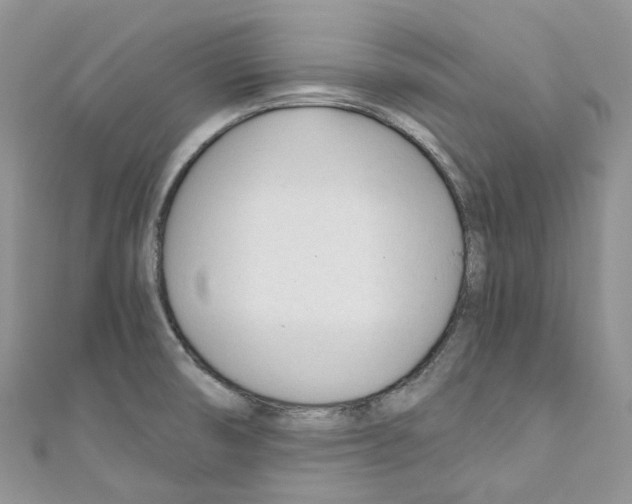 X0000110691474200907241053