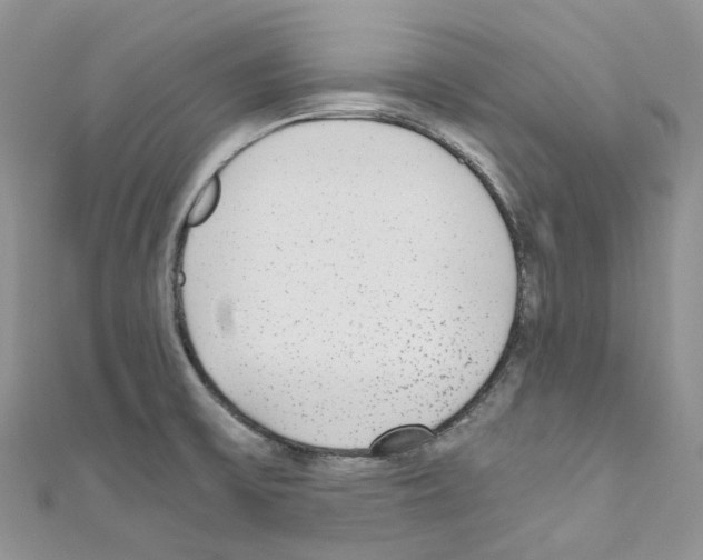 X0000110691475200907241053