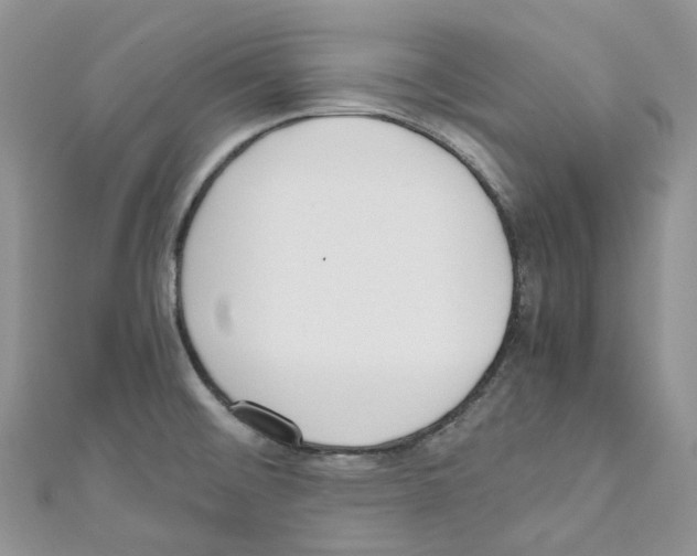 X0000110691476200907241053