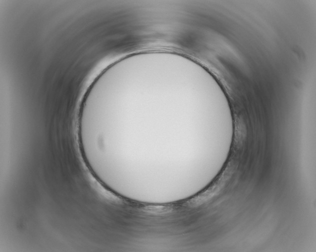 X0000110691478200907241053