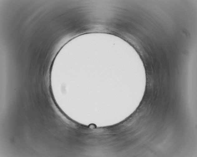 X0000110691479200907241053