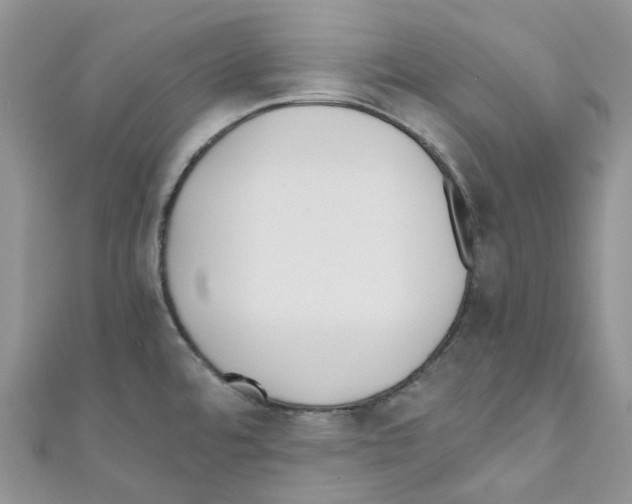 X0000110691480200907241053