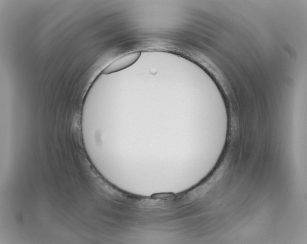 X0000110691481200907241053