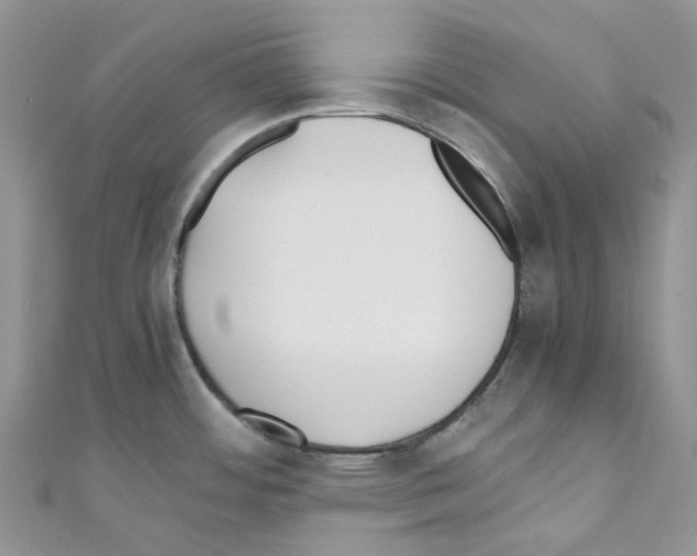 X0000110691484200907241053