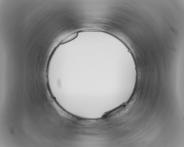 X0000110691485200907241053