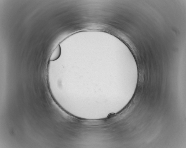 X0000110691487200907241053