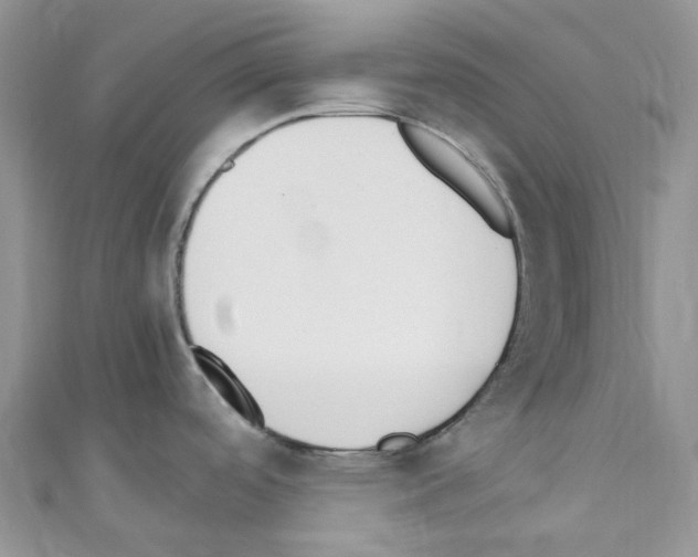 X0000110691488200907241053