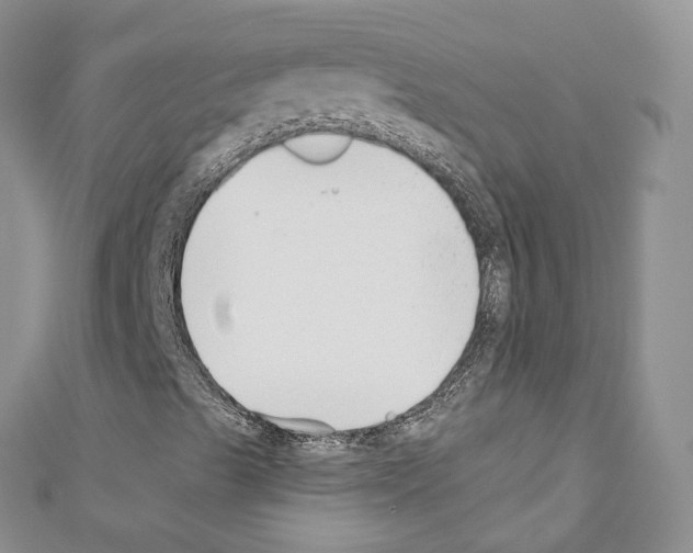 X0000110691489200907241053