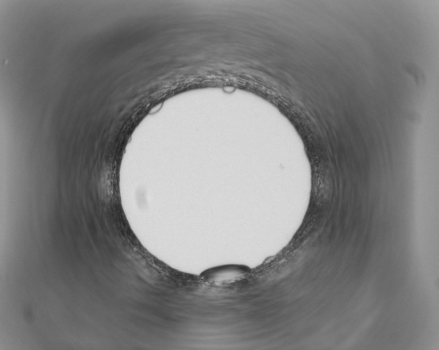 X0000110691490200907241053