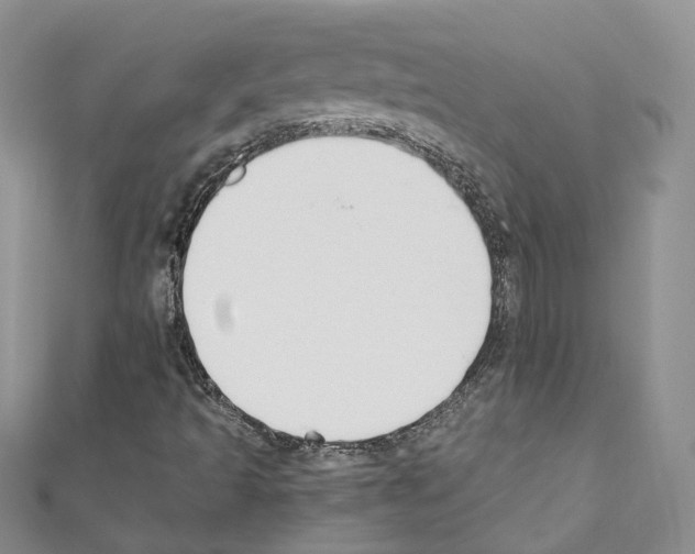 X0000110691493200907241053