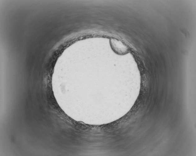 X0000110691495200907241053