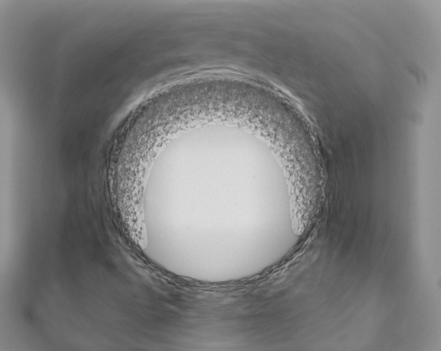 X0000110691496200907241053