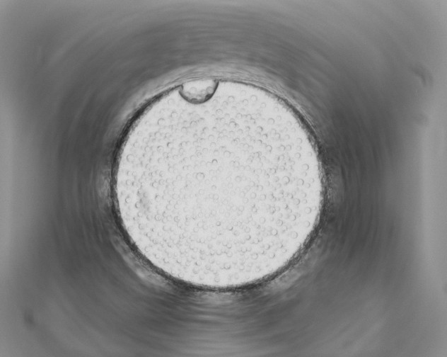 X0000110691499200907241053