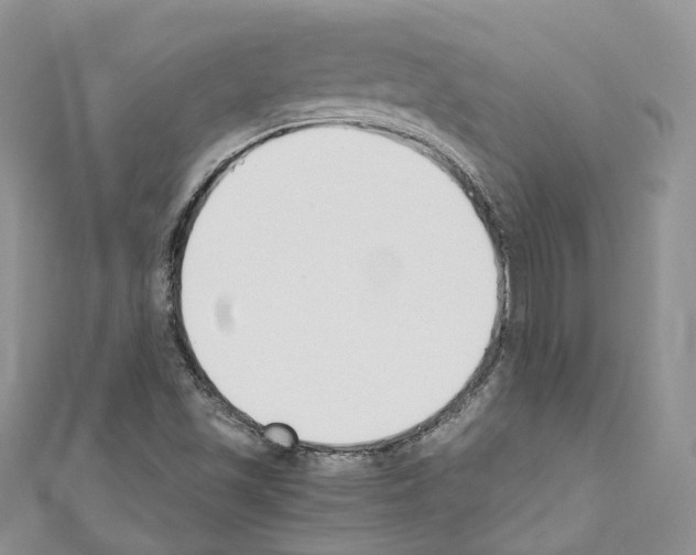 X0000110691501200907241053