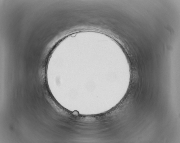 X0000110691503200907241053