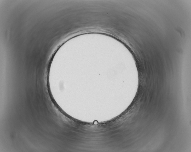 X0000110691508200907241053