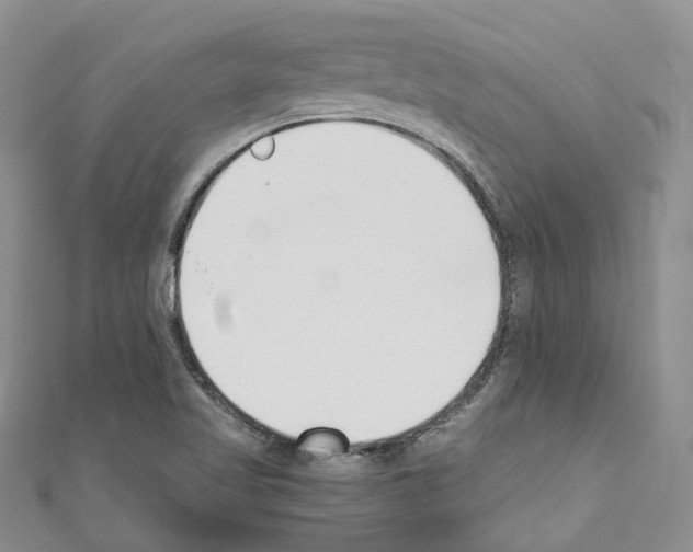 X0000110691509200907241053