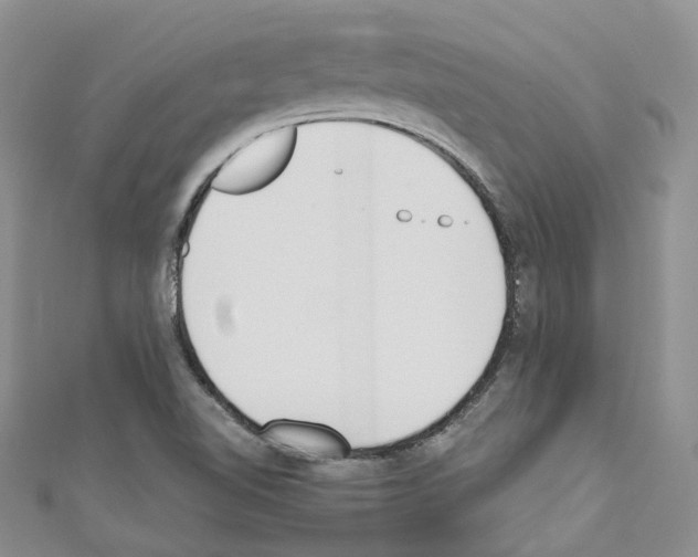 X0000110691510200907241053