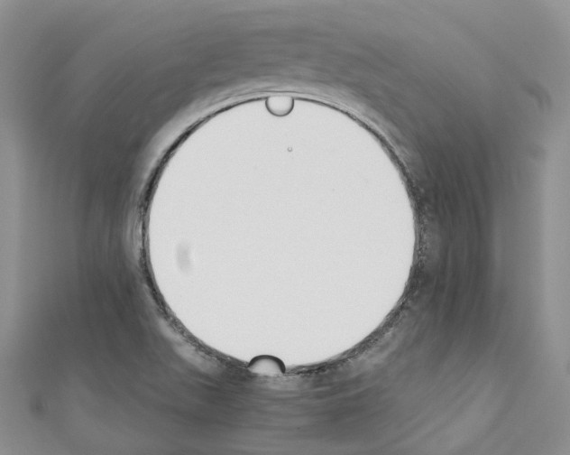 X0000110691511200907241053