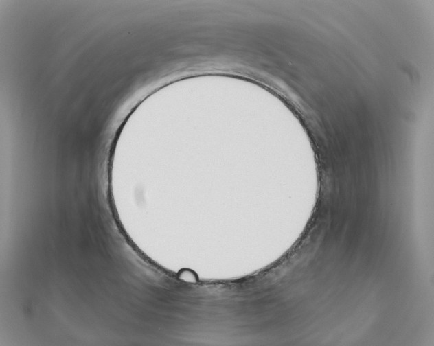 X0000110691512200907241053