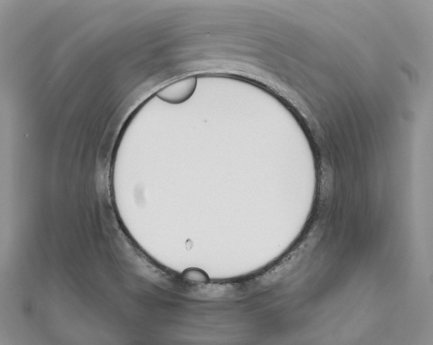 X0000110691513200907241053