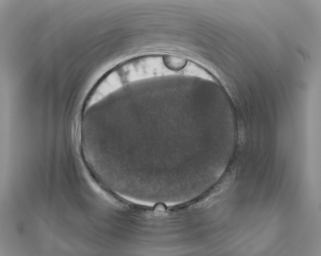 X0000110691515200907241053