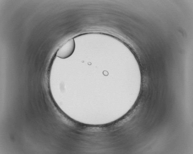 X0000110691517200907241053