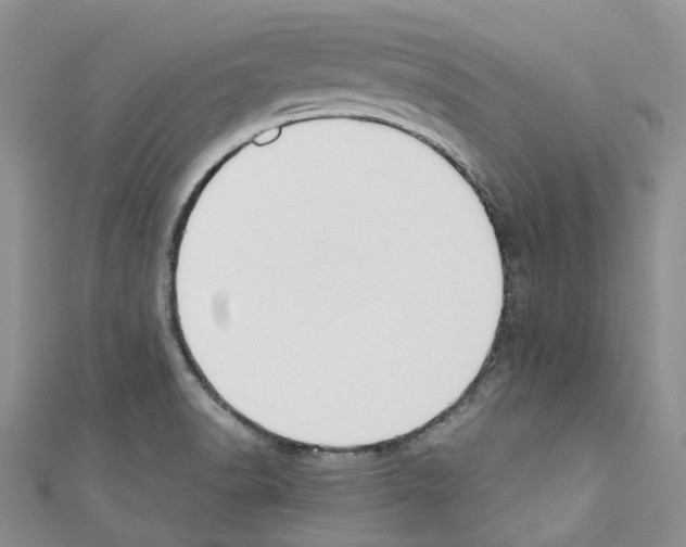 X0000110691518200907241053