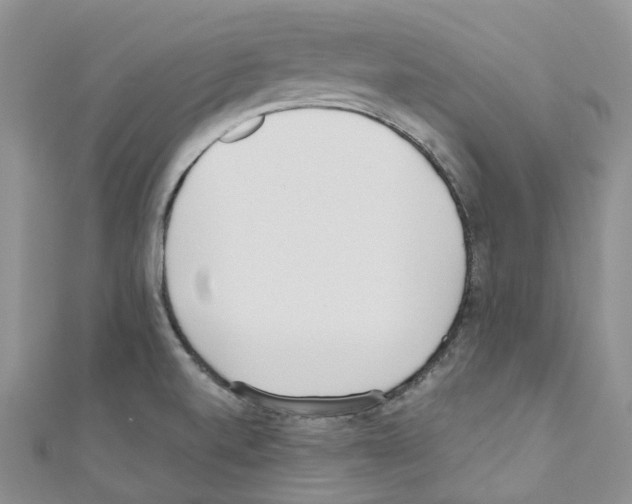 X0000110691520200907241053