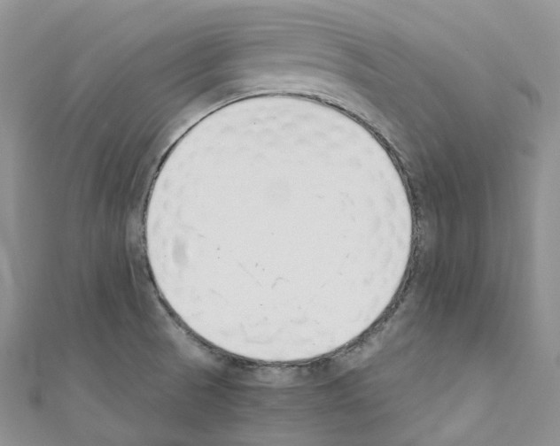 X0000110691521200907241053