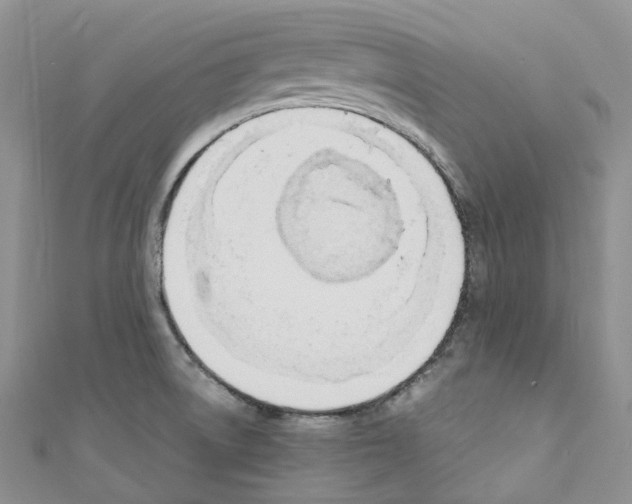 X0000110691522200907241053