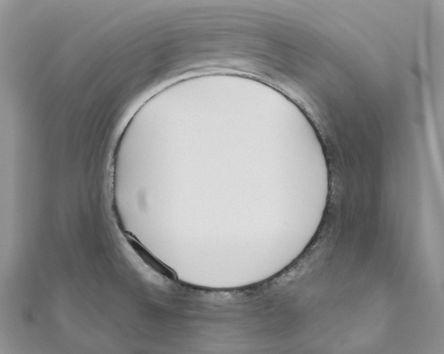 X0000110691524200907241053