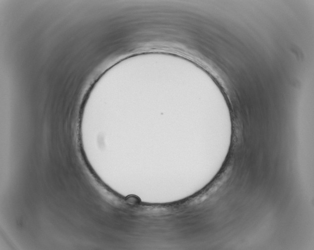 X0000110691525200907241053