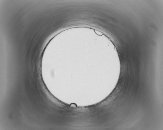 X0000110691526200907241053